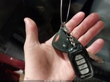 Miniaturka zdjęcia 11