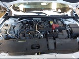 Miniaturka zdjęcia 10