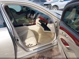 Miniaturka zdjęcia 5