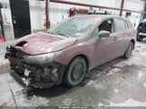 Miniaturka zdjęcia 2