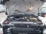 Ford F-250 Fx4/Harley-Davidson/King Ranch/Lariat/Xl/Xlt 1FTSW21RX8ED76901 photo