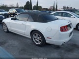 Ford Mustang V6 1ZVBP8EM8E5220007 снимка