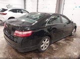 Toyota Camry Se 4T1BE46K48U247404 снимка