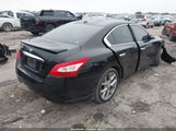 Miniaturka zdjęcia 4