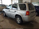 Ford Escape Xlt/Xlt Sport 1FMYU03137KA51062 fotografie