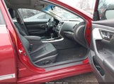 Miniaturka zdjęcia 5
