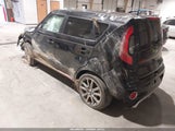 Miniaturka zdjęcia 3