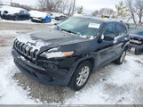 Miniaturka zdjęcia 2