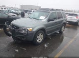 Ford Escape Xlt 1FMCU93155KC93282 снимка