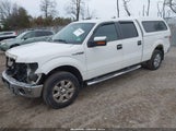 Ford F-150 Xlt 1FTFW1EF3DFC86067 снимка
