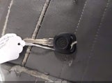 Miniaturka zdjęcia 11
