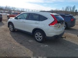 Honda Cr-V Ex-L 5J6RM4H73CL025721 снимка