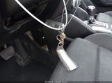 Miniaturka zdjęcia 11