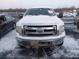 Ford F-150 Xlt 1FTFW1EF7EFC43935 снимка