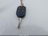 Miniaturka zdjęcia 11