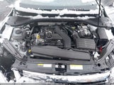 Miniaturka zdjęcia 10