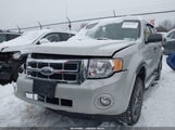 Ford Escape Xlt 1FMCU93G39KC97549 снимка