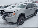 Ford Escape Xlt 1FMCU93G39KC97549 снимка