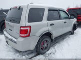 Ford Escape Xlt 1FMCU93G39KC97549 снимка
