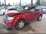 Ford Escape Xlt 1FMCU9DG4AKD13261 снимка