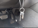 Miniaturka zdjęcia 11
