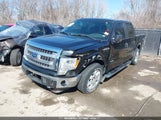 Ford F-150 Xlt 1FTFW1ET9DKD07484 снимка