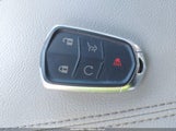 Miniaturka zdjęcia 11