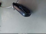Miniaturka zdjęcia 11