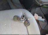 Miniaturka zdjęcia 11