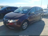 Honda Odyssey Ex-L 5FNRL5H65EB025523 снимка