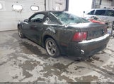 Ford Mustang Gt 1FAFP42X91F259713 снимка