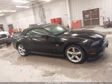Ford Mustang Gt/Gt Premium 1ZVBP8FH7A5126504 fotografie