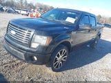 Ford F-150 Fx4/Harley-Davidson/King Ranch/Lariat/Platinum/Xl/Xlt 1FTFW1EVXAFA72728 fotografie