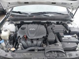 Hyundai Sonata Gls 5NPEB4AC0DH506274 снимка
