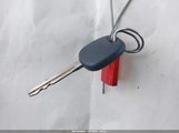 Miniaturka zdjęcia 11
