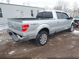 Ford F-150 Fx4/Harley-Davidson/King Ranch/Lariat/Platinum/Xl/Xlt 1FTFW1EV8AFB03524 photo