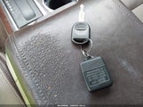 Miniaturka zdjęcia 11