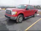 Ford F-150 Xl/Xlt 1FTEW1E84AFB39281 снимка