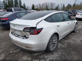 Tesla Model 3 Long Range Dual Motor All-Wheel Drive 5YJ3E1EB6NF130291 fotografie