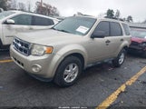 Ford Escape Xlt 1FMCU0D71CKB83695 fotografie