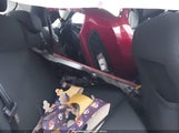 Miniaturka zdjęcia 8