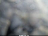 Buick Encore Fwd Preferred KL4CJASB4KB841352 снимка