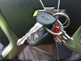 Miniaturka zdjęcia 11