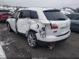 Miniaturka zdjęcia 3