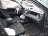 Miniaturka zdjęcia 5