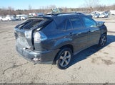 Miniaturka zdjęcia 4