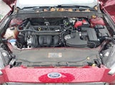 Miniaturka zdjęcia 10