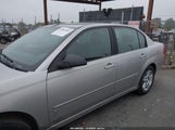 Chevrolet Malibu Lt 1G1ZT51F76F163225 fotografie