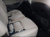 Miniaturka zdjęcia 8