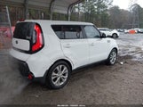 Miniaturka zdjęcia 4